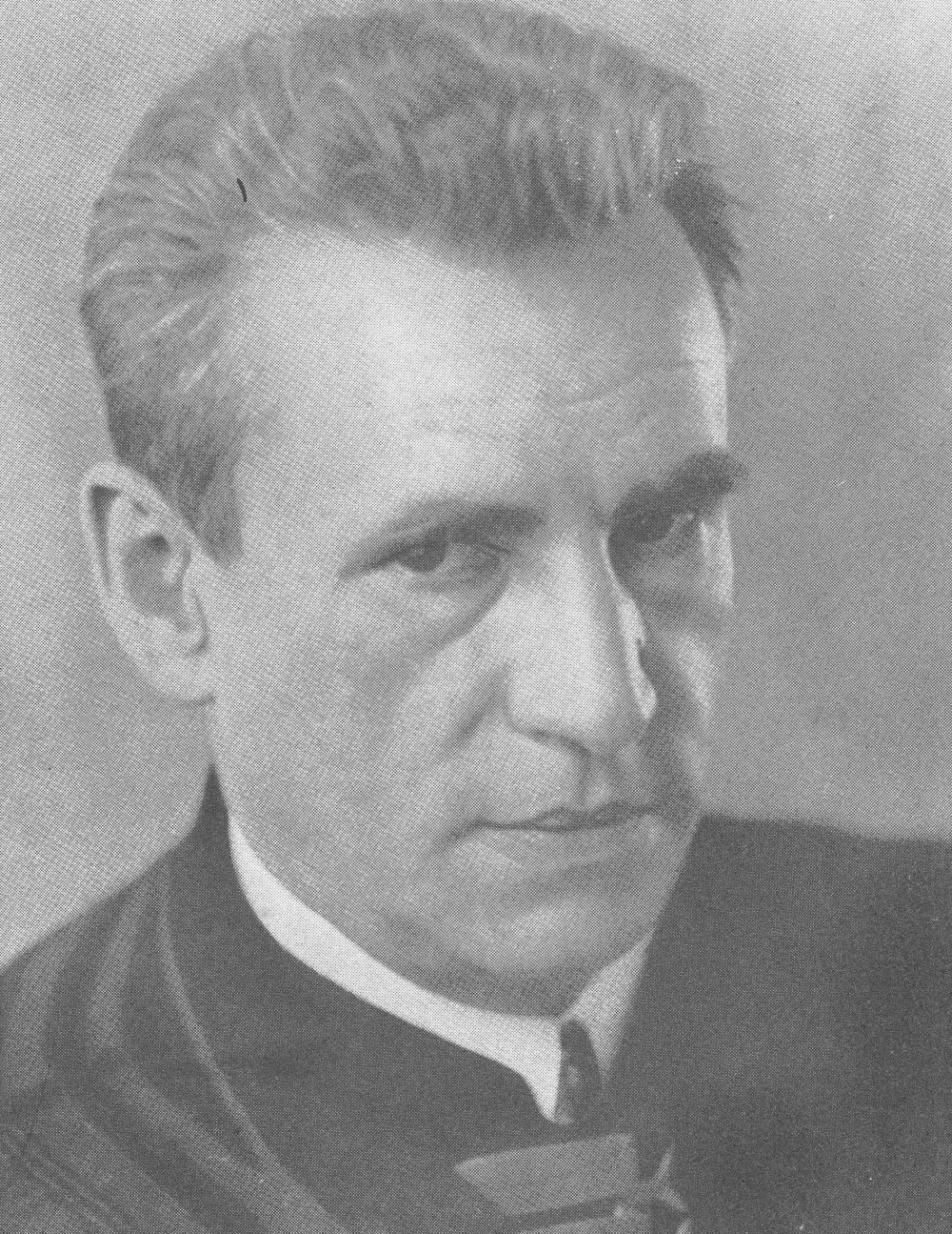 The National Socialist ‘National Community ’ in the ‘Foreign German Community [...]