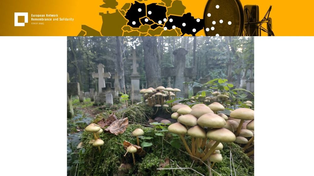 Presentation slide with a single photo in the center. In the foreground, wild mushrooms. In the background, a forested old cemetery. Above all of it, a gold-yellow header with European Network remembrance and Solidarity.