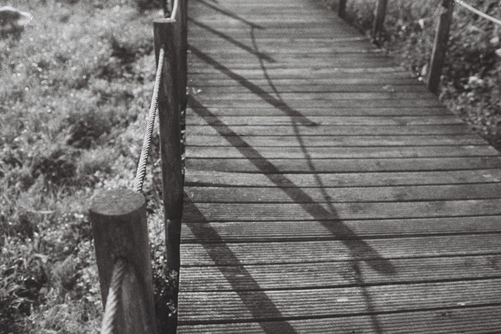 Wooden Line - Afonso Castro