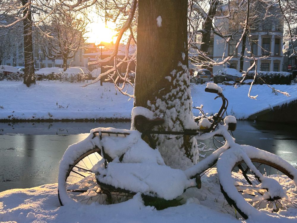 A Wounded Soldier - Jack Little