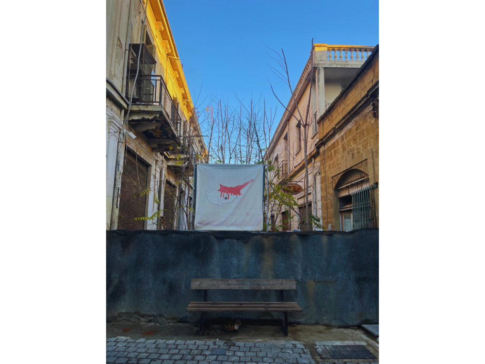 The day I sat still - Demetriana Mnasonos