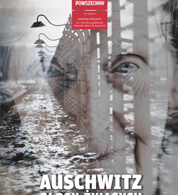 cover image of ‘Auschwitz. Voices of the living’