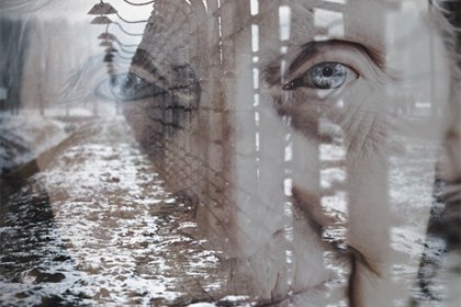 cover image of ‘Auschwitz. Voices of the living’