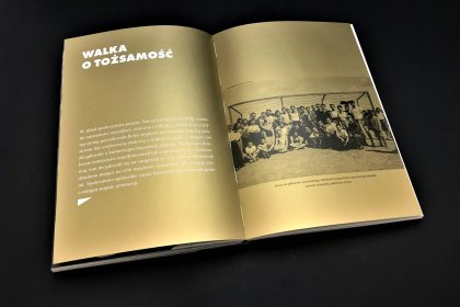 cover image of After the Great War: Polish version of the catalogue