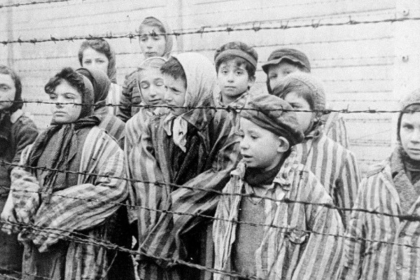 cover image of The Aftermath Of The Holocaust