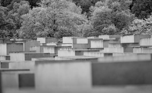 The Memory Boom - photo 2