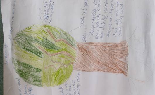 The “Rooted” Project - photo 22