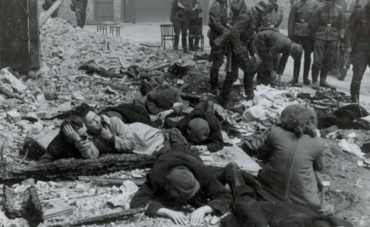 Photo of the publication Warsaw Ghetto Uprising infographic