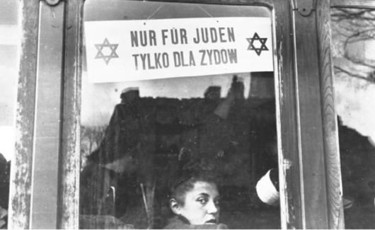 Photo of the publication The Mass Murder Of Jews And Its Stages