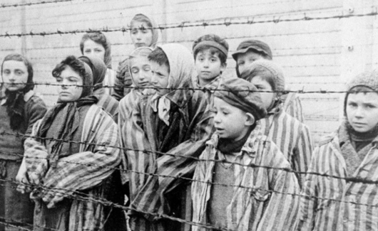 Photo of the publication The Aftermath Of The Holocaust