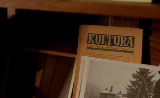 Photo of the publication Rethinking the Network: ‘Kultura’ and the Architecture of Distance