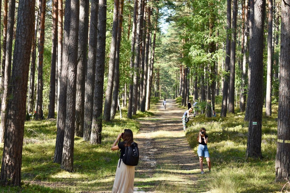 Photo of the publication In Between? – image and memory – 2019, Piaśnica