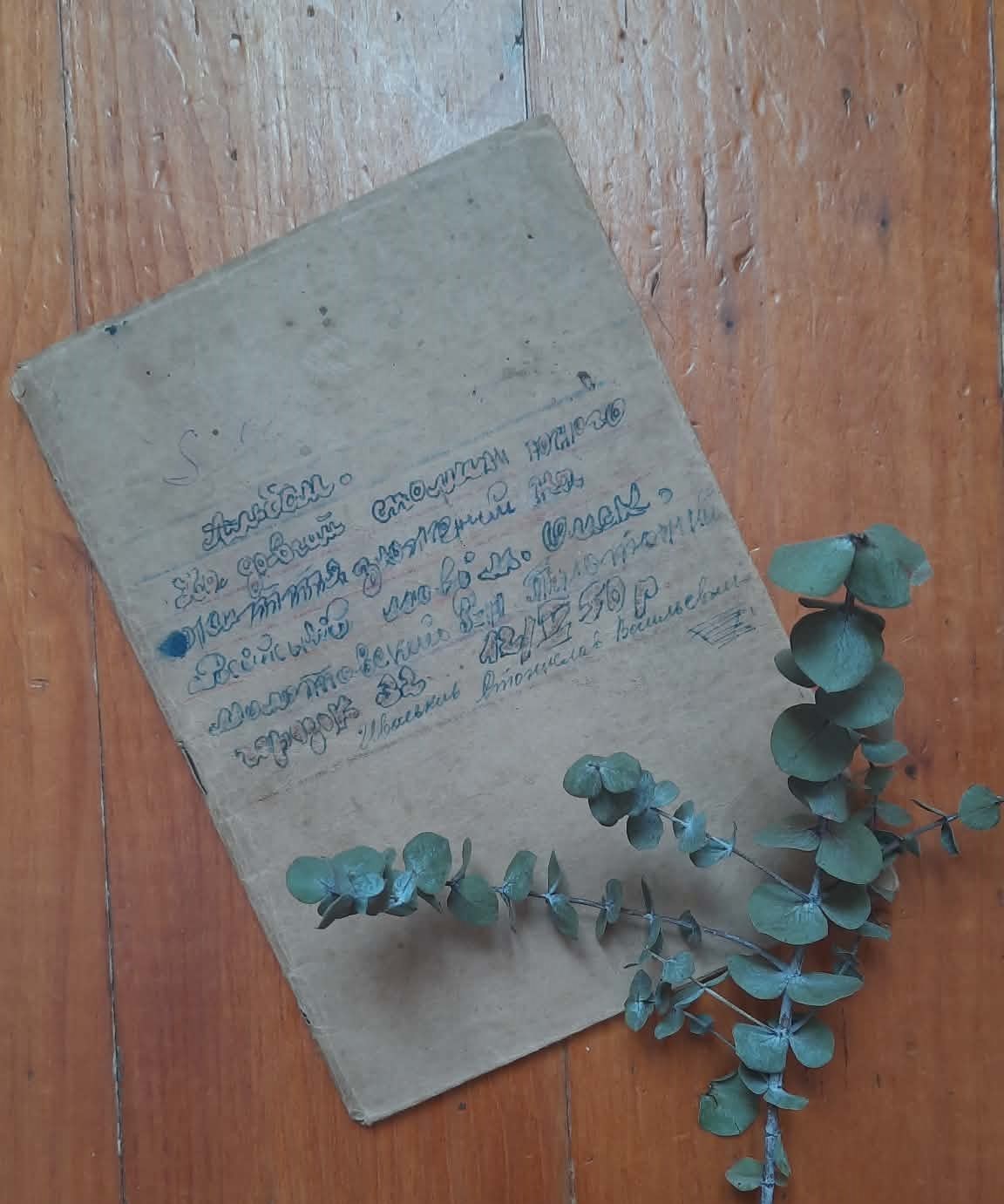 Anastasiia Drohobytska