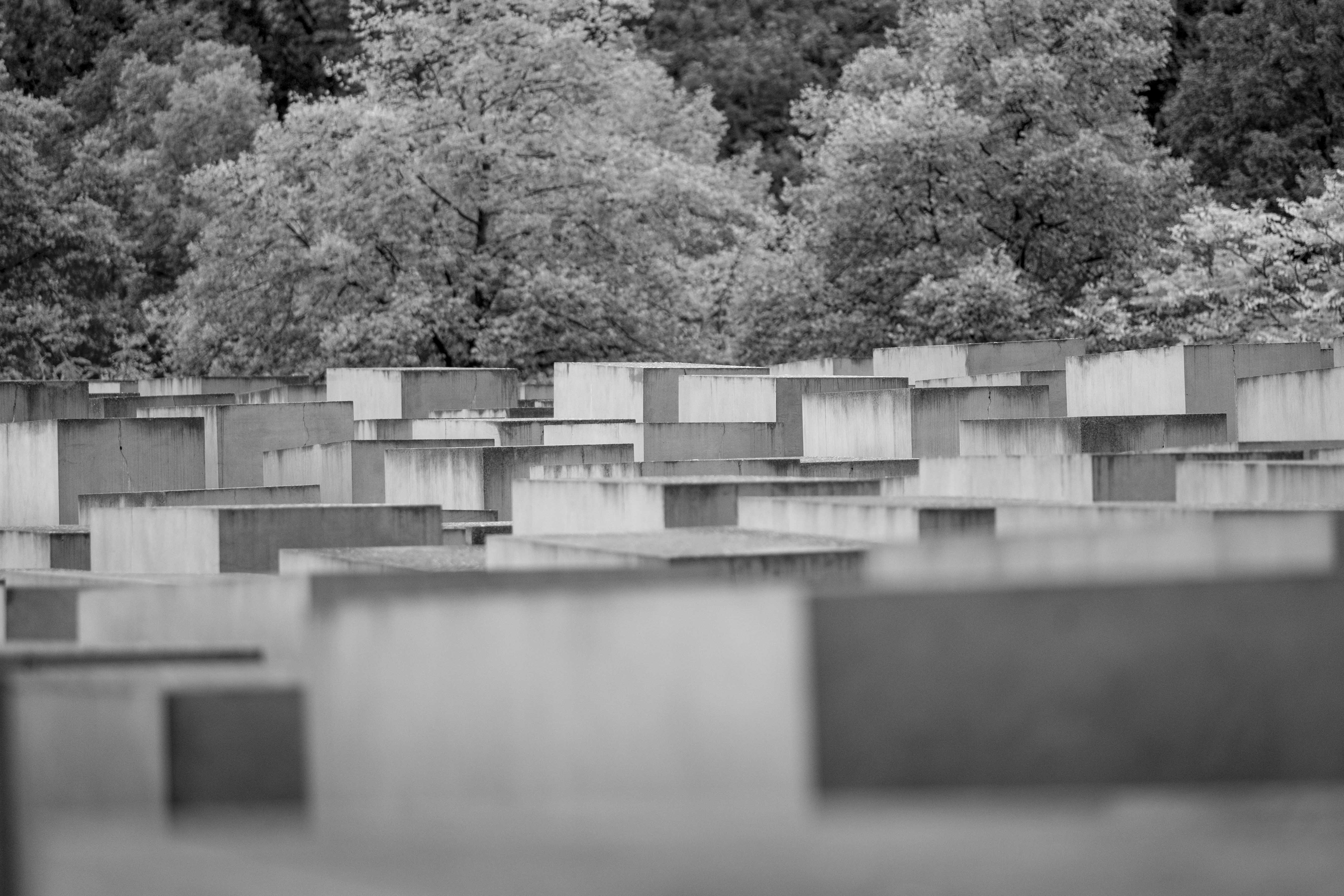 Memorial to the Murdered Jews of Europe in Berlin. Photo: Jan Prosiński