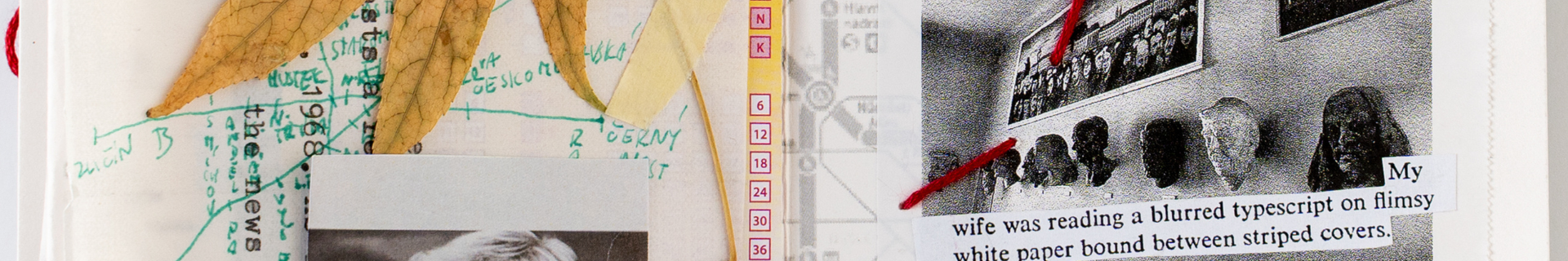 cover image of The Doors are Closing project