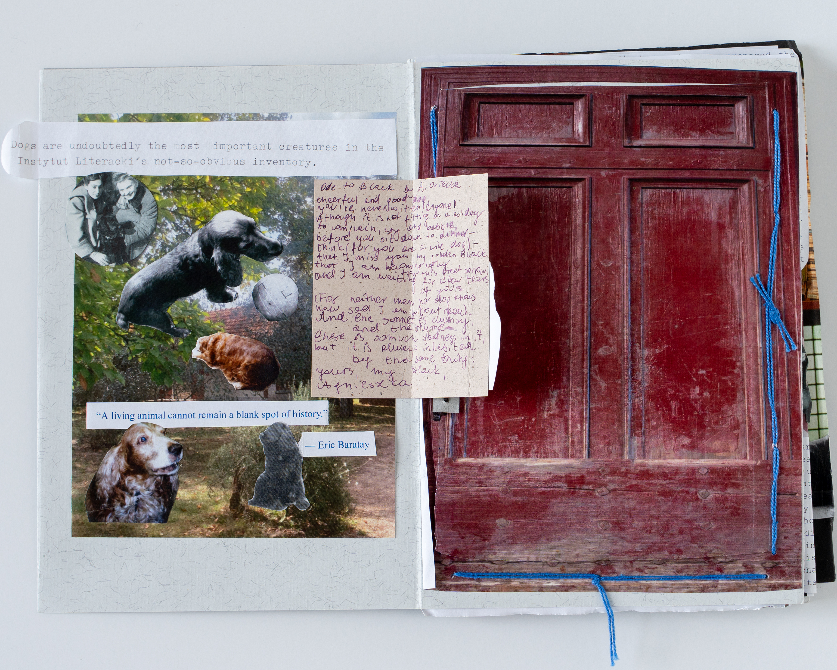 Interior page from zine