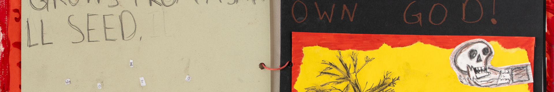 cover image of Resistance project