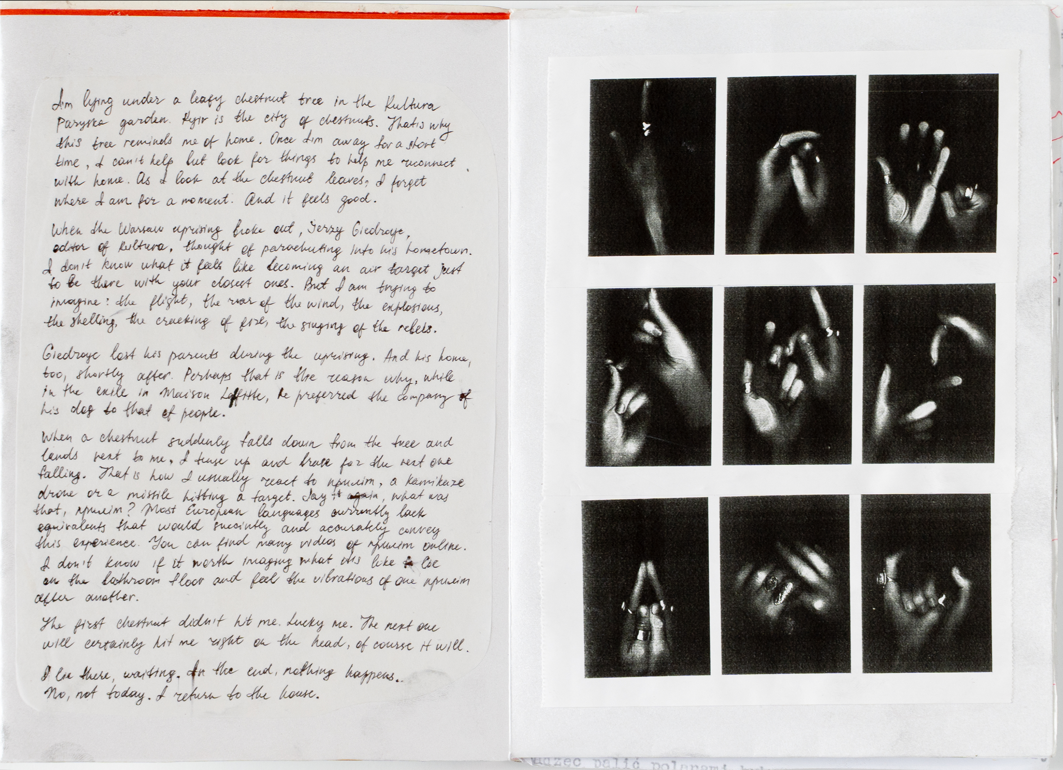 Interior page from zine